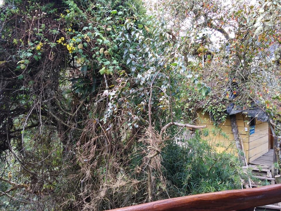Termas El Pantanal Βίλα Papallacta Εξωτερικό φωτογραφία